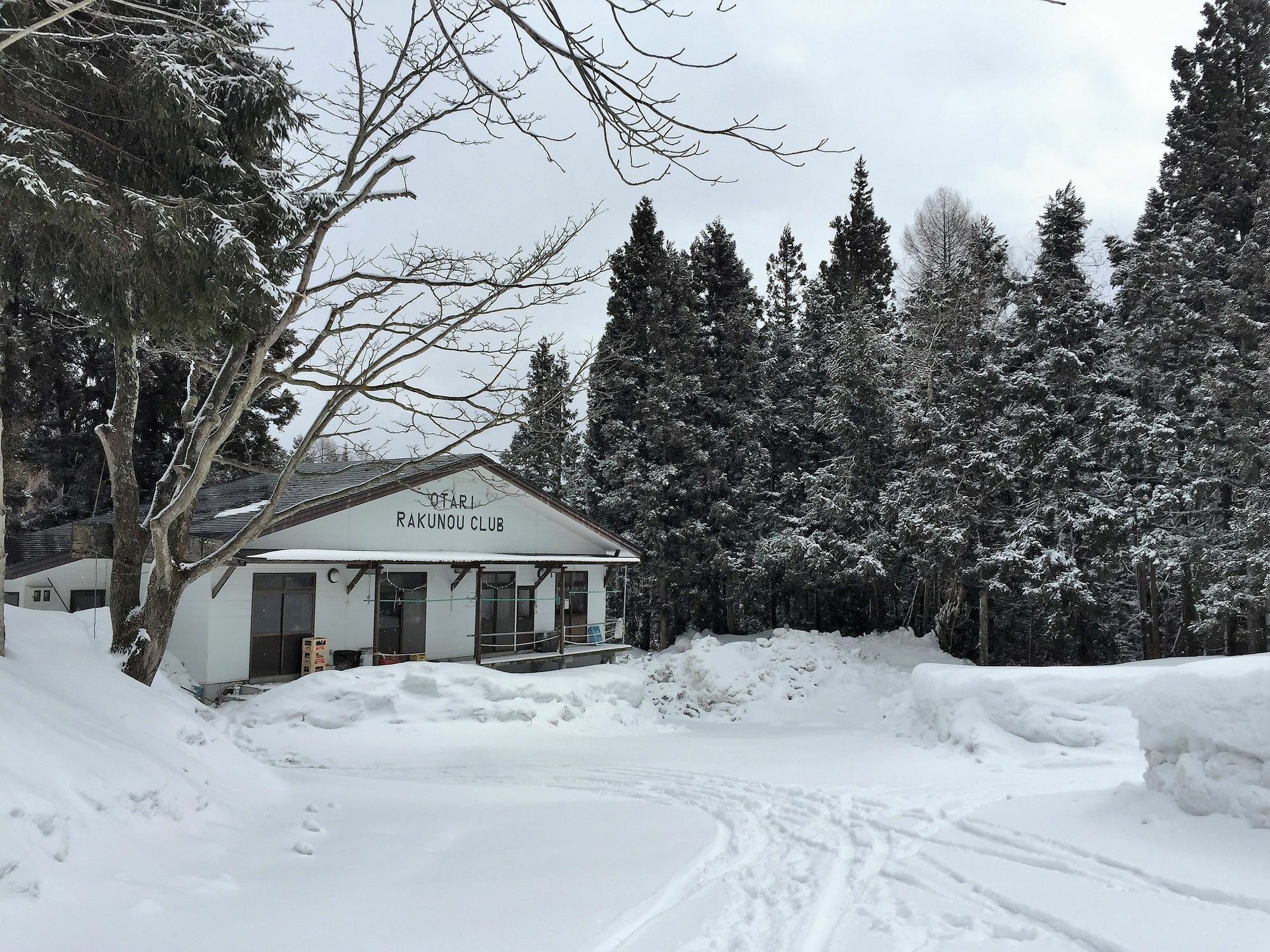 Pension Hobby Hakuba Norikura Otari Extérieur photo