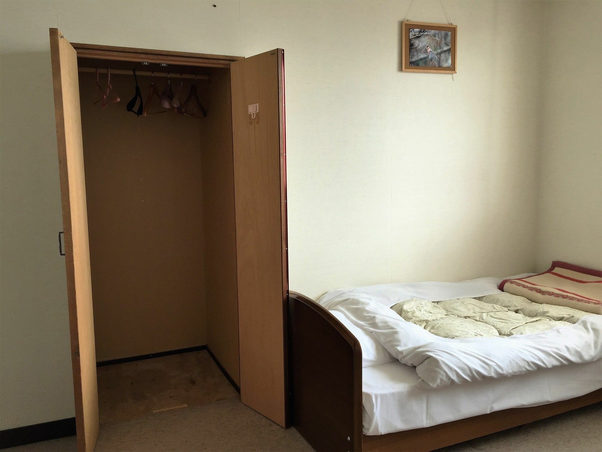 Pension Hobby Hakuba Norikura Otari Extérieur photo